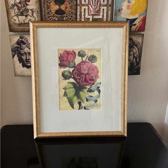 Framed Rosa Sinensis Giovanni‎ Baptista Ferrari Print - Picture 1 of 8